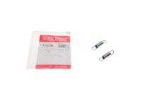 Пружины суппорта (заднего) Ford Mondeo III/Renault Megane I 99-07 (К-кт L+R)