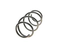 Пружина (передняя) Renault Laguna III 1.5dCi/1.6 16V/2.0 16V/Hi-Flex 07-15 (универсал/накл. зад.ч)