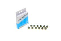 Сальник клапана (впуск/випуск) Audi/Citroen/Peugeot/Renault/VW (к-кт 12шт.)