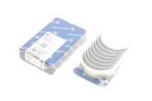 Вкладиші шатунні Renault Master II/Opel Movano 2.2/2.5DCI 00- (STD) (к-кт 8шт)