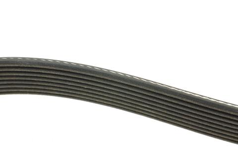 Ремінь генератора Mazda CX-7 2.2MZR-CD AWD 09-13