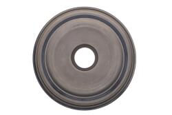 Кришка зчеплення (передня) Audi A3/Q3/TT/VW Passat/Caddy/Skoda Octavia 1.4-3.6 01- (48x245x34.5)