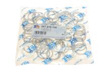 Прокладка натяжника ланцюга ГРМ (кільце) BMW 3 (E46)/5 (E39)/7 (E38) 96-06 M62/N62 (к-кт 100 шт)