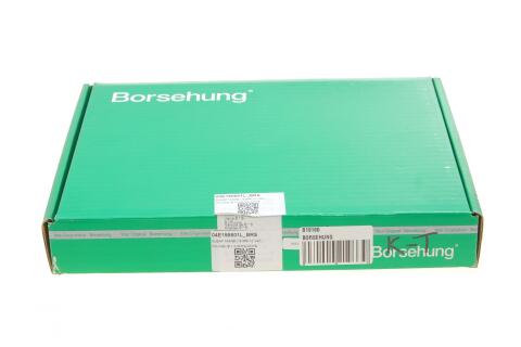 Клапан (впуск/випуск) VW Caddy IV/Golf VI/Touran 1.2TSI 15- (12 к-кт) (OE VAG)