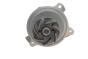 Комплект ГРМ + помпа VW LT 96-/VW T4 2.5TDI 91-, фото 4 - интернет-магазин Auto-Mechanic