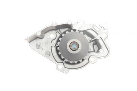 Комплект ГРМ + помпа Citroen Jumpy 2.0HDi (144x25.4)