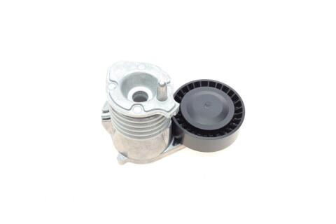 Натяжник ременя генератора Ford Focus/Volvo C30/C70/S40/V50/XC90 04-14