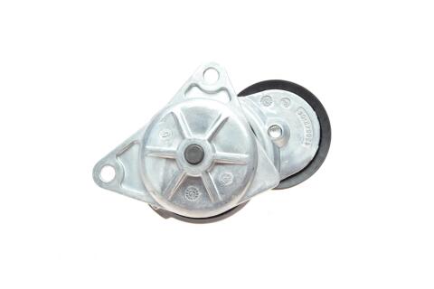 Натяжник ременя генератора Ford Transit Connect 1.8 16V 02-13 Натяжник ременя генератора Ford Transit Connect 1.8 16V 02-13