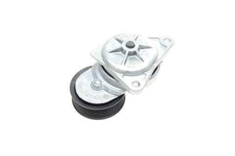 Натяжник ременя генератора Ford Transit Connect 1.8 16V 02-13 Натяжник ременя генератора Ford Transit Connect 1.8 16V 02-13