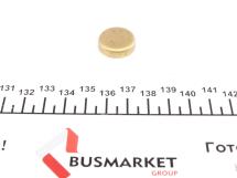 Заглушка блоку циліндрів (d=20mm) Латунь/Brass
