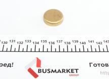 Заглушка блоку циліндрів (d=28mm) Латунь/Brass