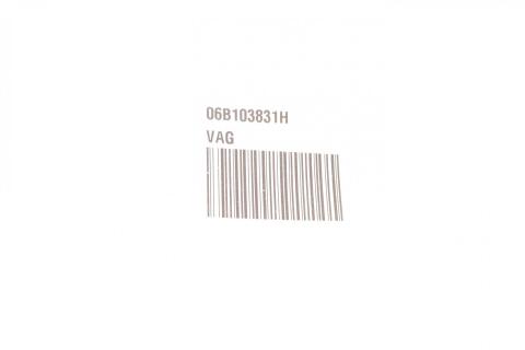 Болт кришки клапанної VW Caddy III 1.6 04-15