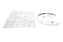 Захист диска гальмівного (заднього) (R) Audi A4/A5/A6 07-18