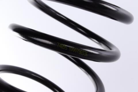 Пружина (задня) Hyundai Accent II 1.3/1.5/1.5CRDI/1.6 99-05 (седан/нах.зад.частина)