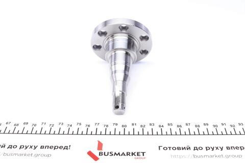 Кулак поворотний (цапфа) VW Passat 73-99 (задній)(109mm) Кулак поворотний (цапфа) VW Passat 73-99 (задній)(109mm)