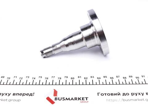 Кулак поворотний (цапфа) VW Passat 73-99 (задній)(109mm) Кулак поворотний (цапфа) VW Passat 73-99 (задній)(109mm)