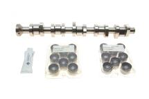 Комплект распределительного вала VW T5 2.5 TDI 03-09, 96/120/128kw, (BNZ, AXD, BPC, AXE, BLJ)