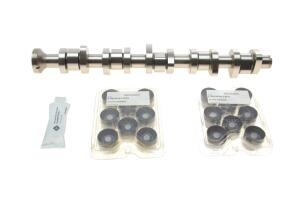 Комплект розподільчого валу VW T5 2.5 TDI 03-09, 96/120/128kw, (BNZ,AXD,BPC,AXE,BLJ)