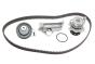 Комплект ГРМ + помпа Audi A3/A4/A6/TT/Skoda Octavia/VW Golf 1.8T, фото 8 - интернет-магазин Auto-Mechanic