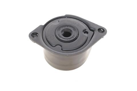 Натяжник ременя генератора BMW 3 (E46/E90-E92)/7 (E65-E67)/X3 (E83)/X5 (E53) 01-, M47 D20 (204D4)