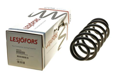 Пружина (задня) VW Passat CC 1.4TSI/1.8TSI/2.0TDI/TFSI 08-12 (купе)/Touran 1.9-2.0TDI 03-10 (вен)