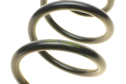 Пружина (задня) VW Passat CC 1.4TSI/1.8TSI/2.0TDI/TFSI 08-12 (купе)/Touran 1.9-2.0TDI 03-10 (вен)