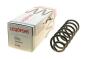 Пружина (задня) Dacia Sandero 1.5dCi/1.6/Hi-Flex/MPI 08- (накл.зад.ч) (осн:Stepway), фото 1 - интернет-магазин Auto-Mechanic