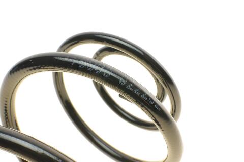 Пружина (задня) Opel Astra G 1.2-2.2 16V/1.7TD/CDTI/1.7-2.2DTI 98-09 (седан/накл.з.ч) (з непост.d) Пружина (задня) Opel Astra G 1.2-2.2 16V/1.7TD/CDTI/1.7-2.2DTI 98-09 (седан/накл.з.ч) (з непост.d)