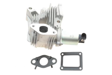 Клапан EGR Renault Megane II/Laguna II/Scenic II 1.9dCi 03-