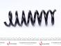 Пружина (передня) MB E-class (W210/S210) E270/320CDI/E280/320/430 96-03 (седан/унив)(ос:Avantgarde), фото 4 - интернет-магазин Auto-Mechanic