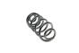 Пружина (задняя) BMW X6 (E71/E72) 30d/35d/i/40d/50i xDrive 07-14 (SUV) (с пост.d)(без AdaptiveDrive), фото 3 - интернет-магазин Auto-Mechanic
