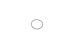Прокладка топливного насоса Audi/VW/Ford/MB/Opel/Renault (31x2mm)