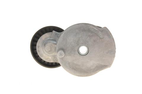 Натяжник ременя генератора Ford Focus/Mondeo 2.0 TDCi 07-