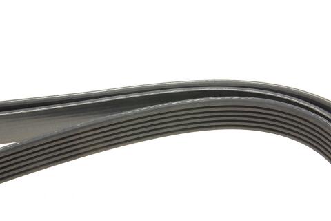 Ремінь генератора Audi A4/A6/A8/Q7 2.7/3.0TDI/VW Touareg 3.0TDI 04-18