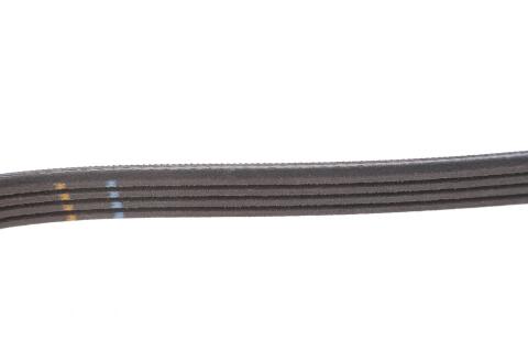 Ремень генератора BMW 3 (E46)/7 (E65/E66/E67)/X3 (E83) 2.0/4.4D 01-10 M47/M67