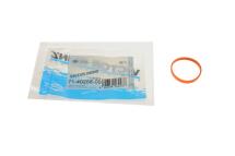 Прокладка впускного коллектора Ford Fiesta 1.25/1.4 08-17