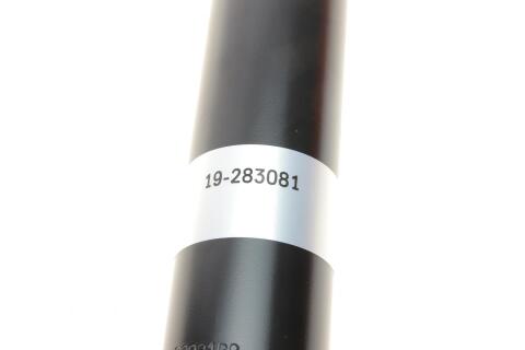 Амортизатор (задний) Ford Edge USA 2.0-2.7 (двухтрубный) (B4)