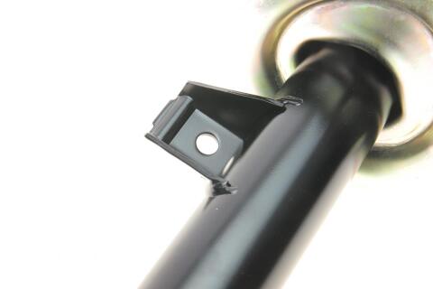 Амортизатор (передній) BMW 3 (E46) 98-05 (R) (B4)