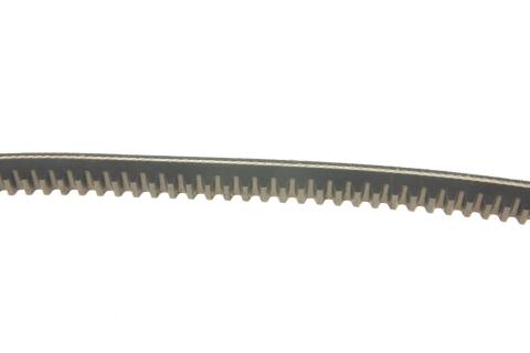 Ремінь генератора Audi 80/100/BMW 3/5/7/VW LT/ Passat (13x800) Ремінь генератора Audi 80/100/BMW 3/5/7/VW LT/ Passat (13x800)