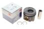 Поршень VW T5 2.5TDI (81.01mm/STD) (1-2 циліндр) = 7150170000, фото 2 - интернет-магазин Auto-Mechanic