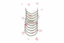 Вкладиші корінні VW Caddy III 1.6 04-15 (STD) = 6050020000