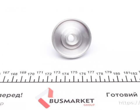 Ролик генератора BMW 3 (E46) 1.6-1.8i 97-05 (паразитний) (70х26) (MPQ0021)