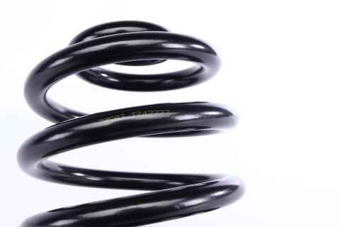 Пружина (задняя) BMW 3 (E36) 316i/318i/tds/320i/323i/325tds/328i 95-99 (универсал) (с пост.диам.)