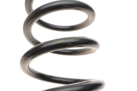 Пружина (задня) Ford Kuga 1.5-1.6 EcoBoost/2.5 13- (SUV/фургон) (зі станд..ход.ч.) (крім ST-Line)