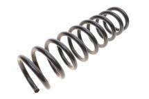 Пружина (задня) Hyundai Elantra 1.6CVVT/2.0CVVT 06-11 (седан)