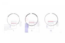 Кільця поршневі VW Crafter/T6 2.0TDI 15- (81.00mm/STD) (1.75-2-2) = 8950000000