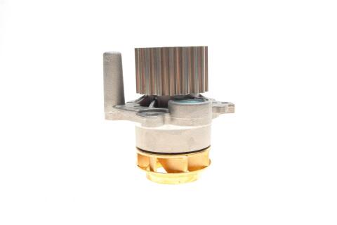 Комплект ГРМ + насос Seat Ibiza 1.9 TDI/VW Polo 1.4/1.9 TDI 01-09 (120x30) Комплект ГРМ + насос Seat Ibiza 1.9 TDI/VW Polo 1.4/1.9 TDI 01-09 (120x30)