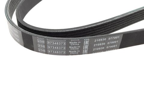 Ремінь генератора Renault Kangoo 1.5 dCi (6PK1200)