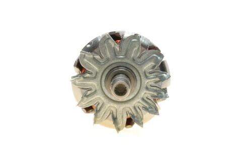 Якір генератора VW/Fiat/Iveco Якір генератора VW/Fiat/Iveco