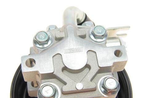 Насос ГПК Hyundai Santa Fe II/Kia Sorento II 2.0/2.2/2.4 CRDi 09-15